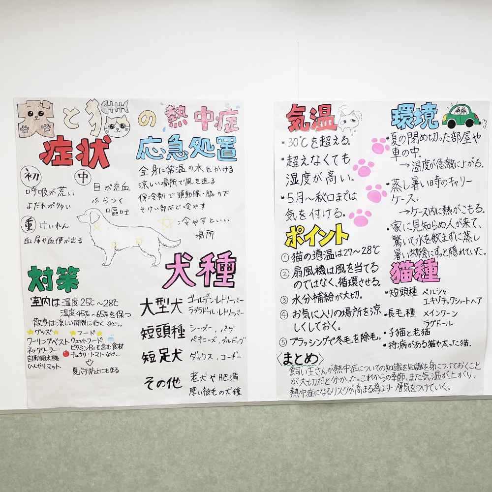 校内の掲示物